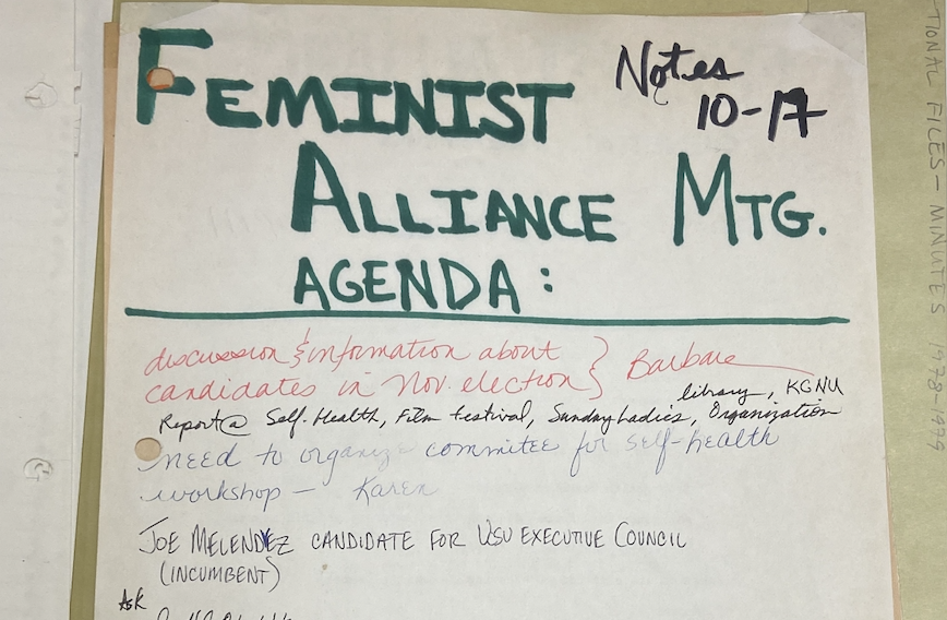 Feminist Alliance Agenda Archive